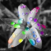 Pat Galloway's photo