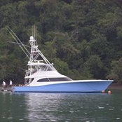 Darrin Isaacs's photo