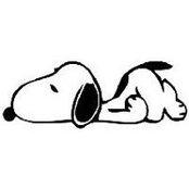 Ivan Palmieri's photo