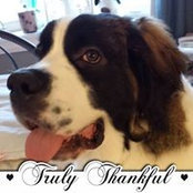 Charlene Mooney's photo