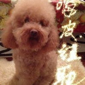 Nell Yun's photo