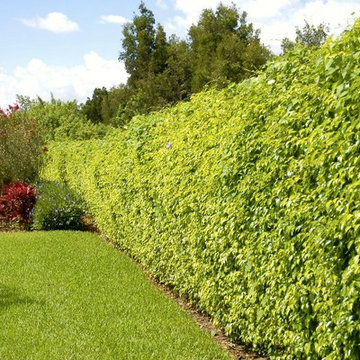 Fertilizer/Pest Control