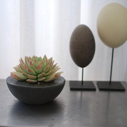 Handmade Concrete Planters - Plants
