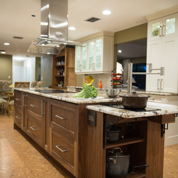 Entertainer's Dream Kitchen