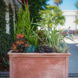 Sonos Headquarters, Santa Barbara, CA - Outdoor Products