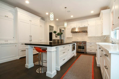 Kitchen - transitional kitchen idea in Chicago