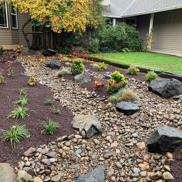 Front Yard Remodel