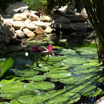 Ponds