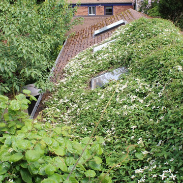 Seattle Organic Garden