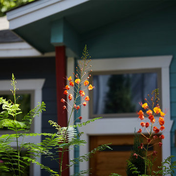 Brentwood Plunge Courtyard