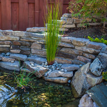 Water Features