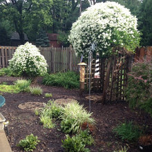 Spring Garden