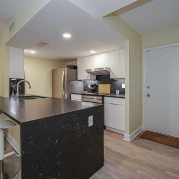 Condo Kitchen Renovation