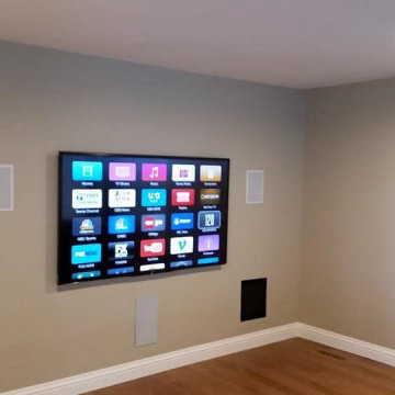 TV Mounting and Installation