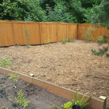 Kirkland Backyard Redeux