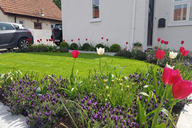 Elaine's Garden 2019