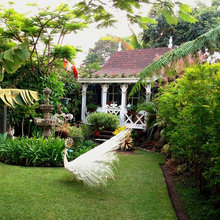 Jardín de la semana: Un paraíso de flores y plantas en Guatemala