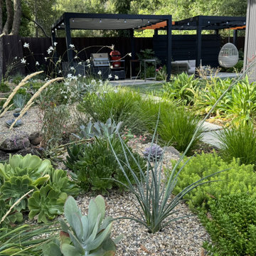 Contemporary Eichler Backyard Remodel