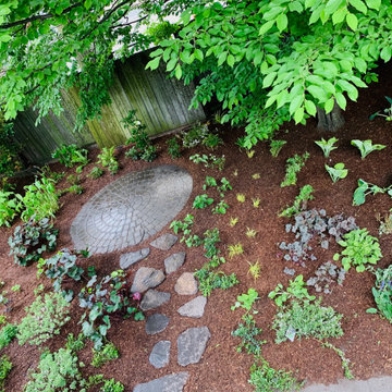 Cambridge planting update