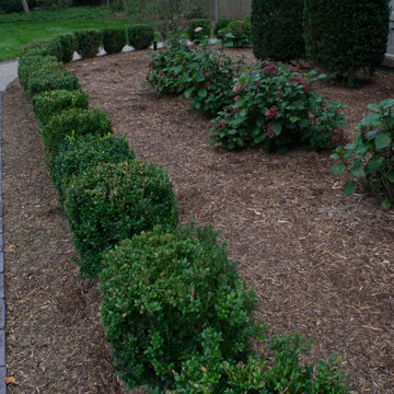 Front Yard Boxwood and Hardscape