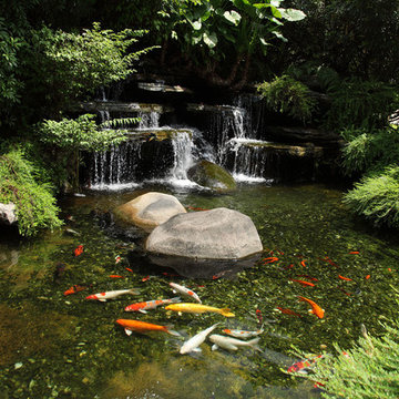 Ponds