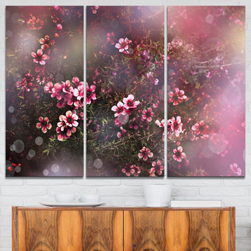"Sakura Japanese Cherry" Photography Canvas Print, 3 Panels, 36"x28"