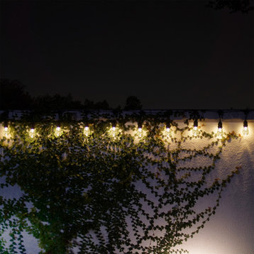 93"L Indoor/Outdoor 10 Edison Bulb Hanging String Lights with Timer