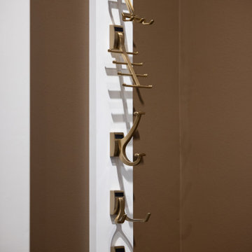 Saint Louis Closet Co. Accessories