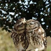 Dawn Beale's photo