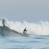 Foto von Philip Laney