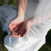 Emily Shea's photo