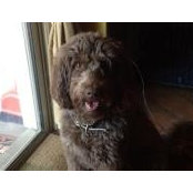 Ben Herbert's photo