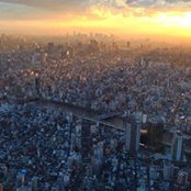 Celine Haddad's photo
