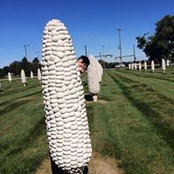 Mingyang Wu's photo