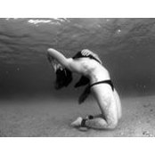 Arian Lurie's photo
