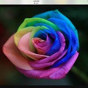 Kim Heine's photo