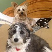 Carol Pyke's photo