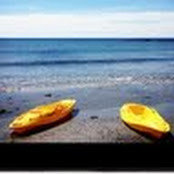 Foto von Lisa Brown