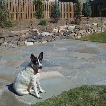 Pet friendly landscape