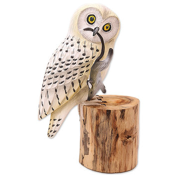 Novica Handmade Snow Owl Wood Statuette