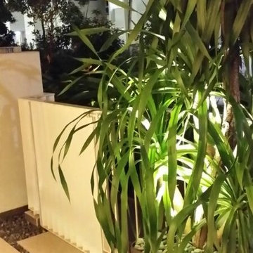 Planter Box Water Feature & Koi Pond