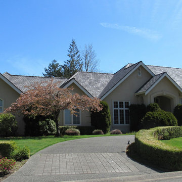 DaVinci Roofing