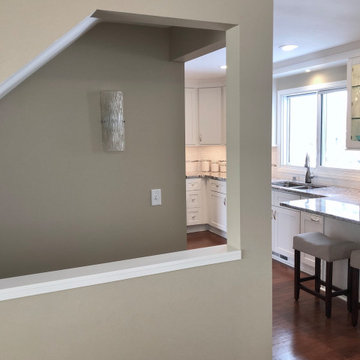 Chanhassen Remodel