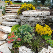 garden.beds