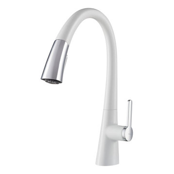 Nolen 2-Function Pull-Down 1-Handle 1-Hole Kitchen Faucet Chrome White
