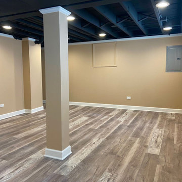 Edgewood Basement Remodel