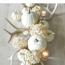 Table Centerpiece Ideas