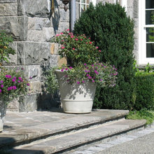 back steps