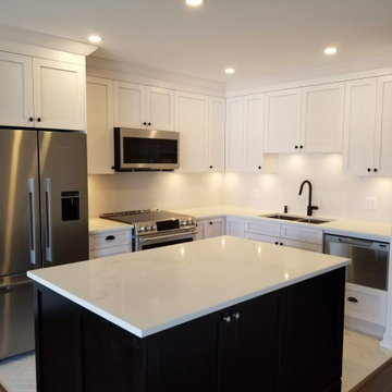Kitsilano Condo Kitchen