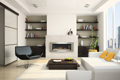Linear Fireplace Napoleon's LHD45